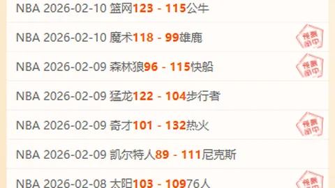 利桑德罗十字韧带损伤，赛季征程终止