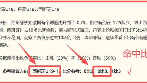 英格兰世界杯创纪录3位阿森纳名将首次携手亮相2002年巅峰之战